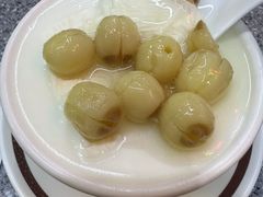 -义顺牛奶公司(新马路老店)
