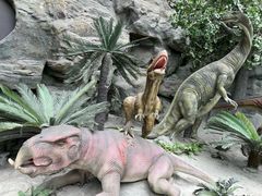 -国家自然博物馆