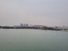 -贡湖湾湿地公园