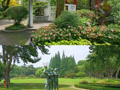 -中山公园