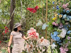 -七仙岭温泉国家森林公园