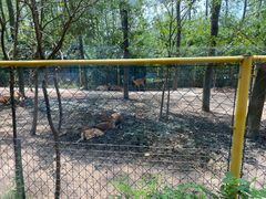 -合肥滨湖国家森林公园