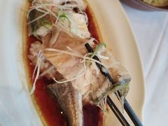 -上海小南国(不夜城店)