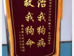 -欧奕国际动物医院