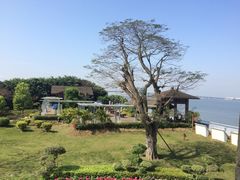 iphone_upload_pic-大湾区中央湿地公园