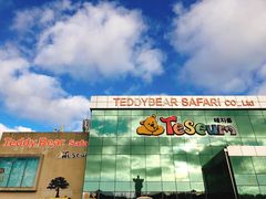 -济州岛泰迪熊博物馆