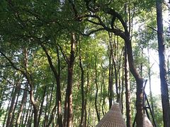 -东湖落雁景区