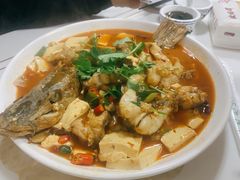 -煲来饱去冷水鱼