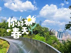-富斯特索道