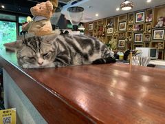 -咖法森林·咖啡  酒吧(天河店)