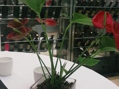 -红菜坊·烤鸭·川鲁宴(石园店)