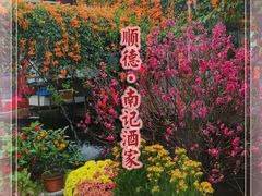 -寻味顺德·南记酒家·传统顺德菜·鱼生(广源路店)