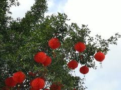 -银瓶嘴森林公园