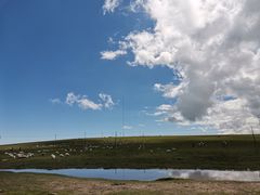 -青海湖国家重点风景名胜区