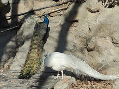 -大连老虎滩海洋公园