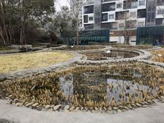 -活水公园