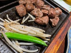 -黑松白鹿(新活馆店)