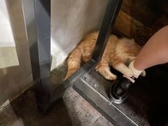 -板凳鲜酿·精酿啤酒(科华北路店)