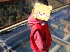 -少华山国家森林公园