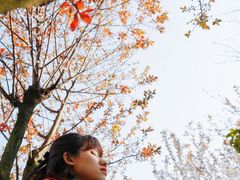 -龙头寺公园