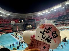 -山西体育中心红灯笼体育场