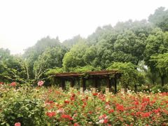 -大蜀山国家森林公园