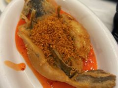 -五谷芳乳鸽王(海景店)