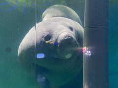 -泉城欧乐堡海洋极地世界