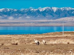 -青海湖国家重点风景名胜区