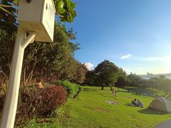 -深圳湾公园(南山区)