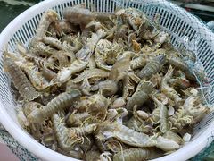 -华阳海鲜市场(府西路店)