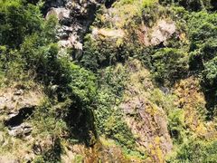 -天门沟九州驿站树上汤泉