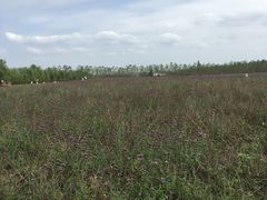 -漩门湾国家湿地公园