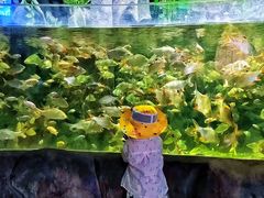 -左海海底世界