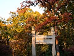 -灵谷景区