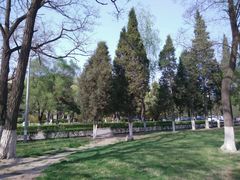android_upload_pic-辽宁大学(崇山校区)