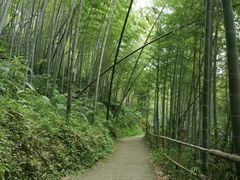 -千泷沟大瀑布旅游区