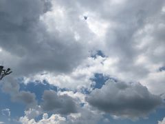 -呼兰河口湿地公园