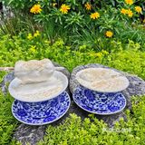 成都本土特色奶茶 真的绝绝子❗
