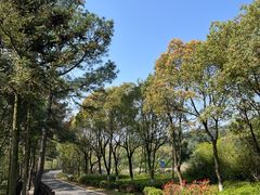 -游子山休闲旅游区