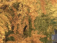 -狼山风景名胜区