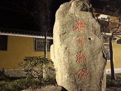 -普济寺素斋
