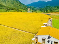 -刘伯温故里景区百丈漈