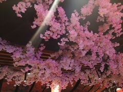 -石葵(锦业时代店)