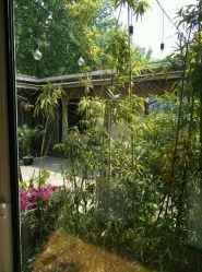 点击看大图 -爱儿美儿童摄影(朝阳公园店)