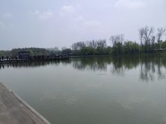 -溱湖国家湿地公园