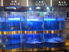 -蛙一刀·麻椒鱼火锅(金仙桥店)
