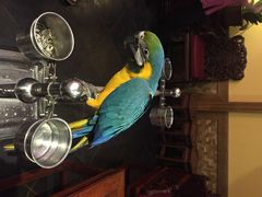 iphone_upload_pic-那家小馆•北京菜•烤鸭(中关村店)