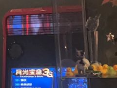 -星空密室·精选(天一豪景店)