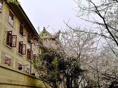 -武汉大学-樱园